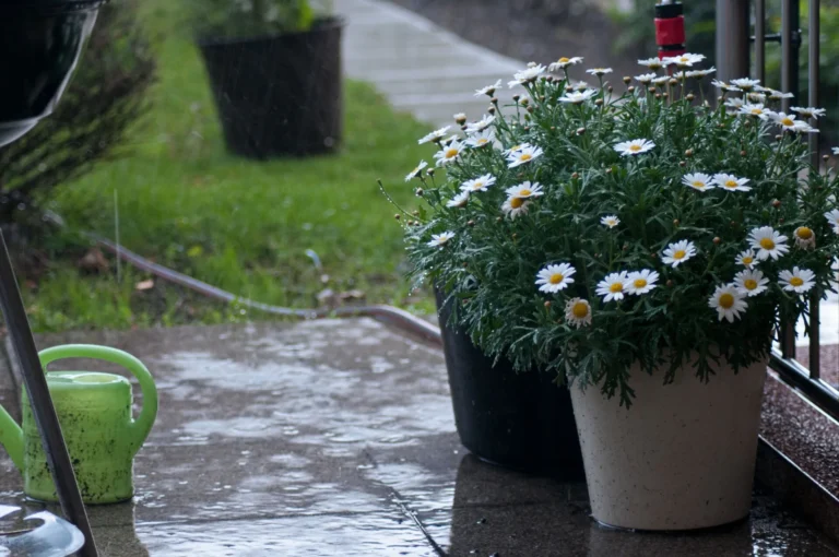 Regenwater opvangen rond je woning